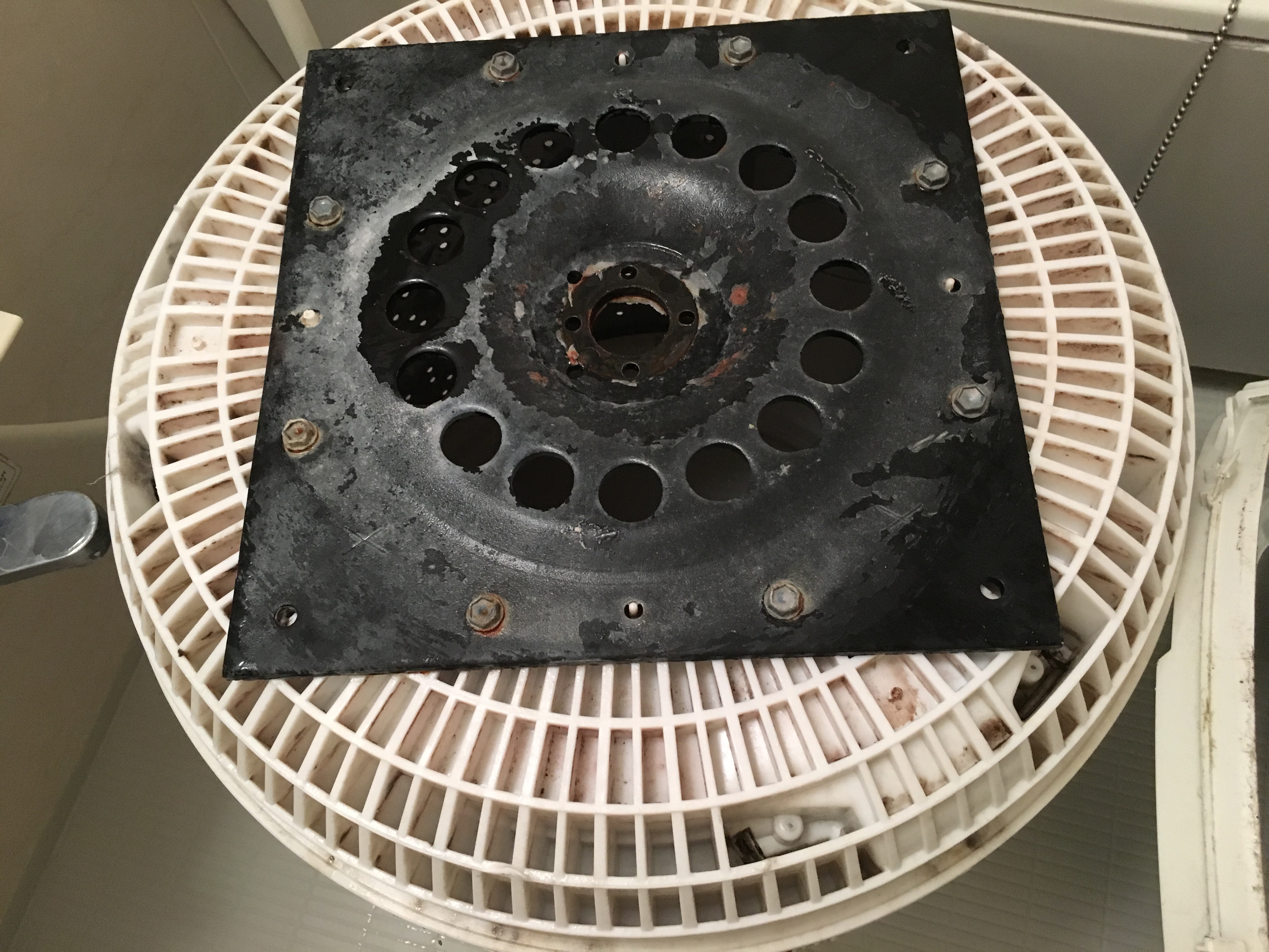 洗濯槽裏 洗濯槽裏